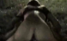 Caught In The Park 1