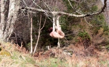 Naked Self-bondage In The Woods Gone Wrong.