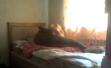 African Asian Romance