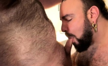 BEARFILMS Bearded Bears Aaron Anthony And Luis Vega Bareback