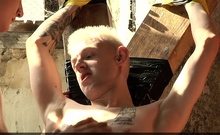 Horny Dom Enjoys Sucking And Licking His Subs Round Balls