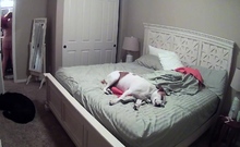 Hot Amateur Hidden Cam