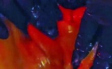 Hot amateur close up hardcore HD video