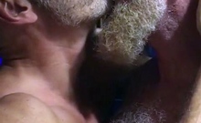 Muscular Daddies Intimately Kissing